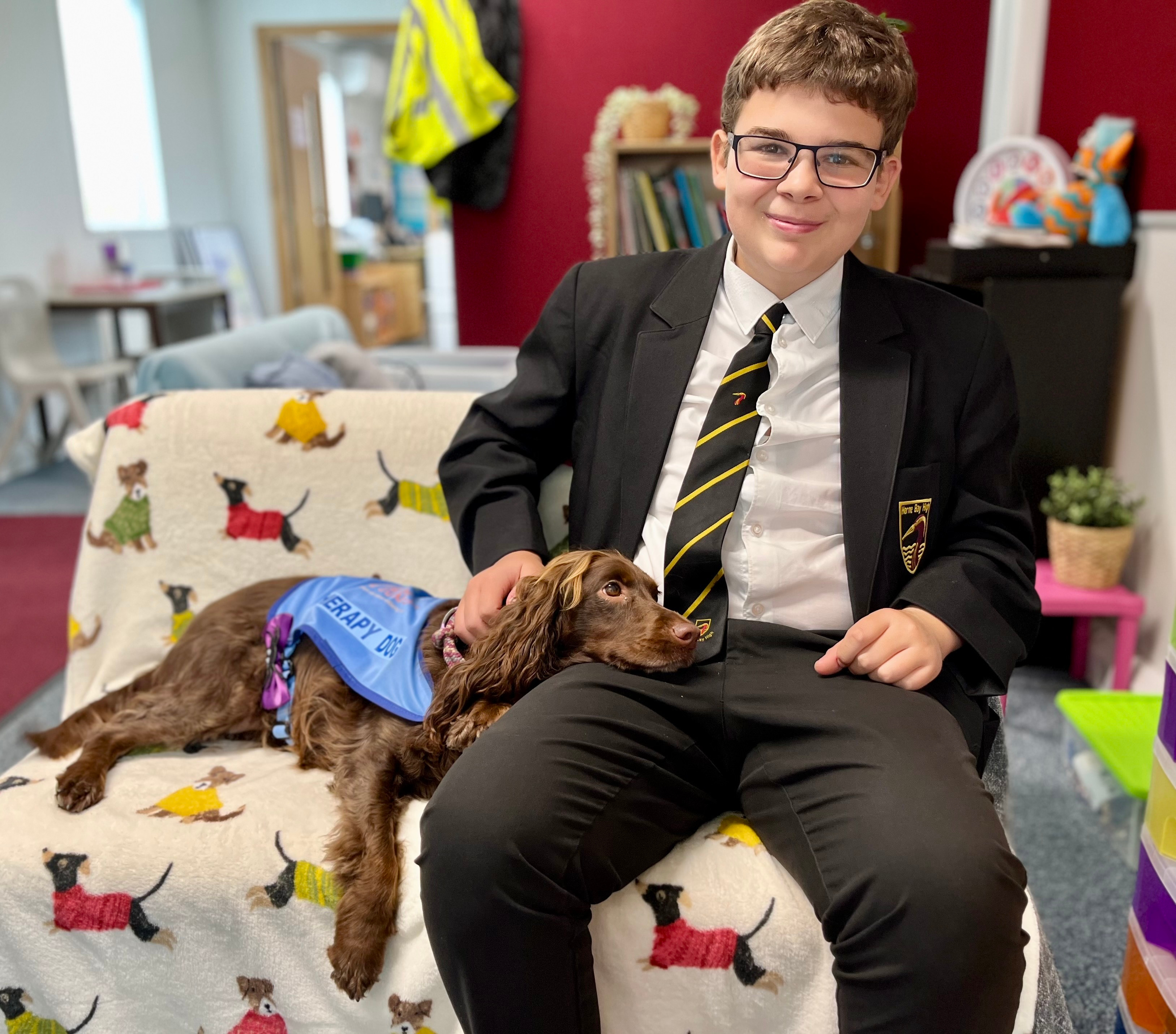 PAWS Therapy Dogs in Schools | UK's Leading School Therapy Dog Programme