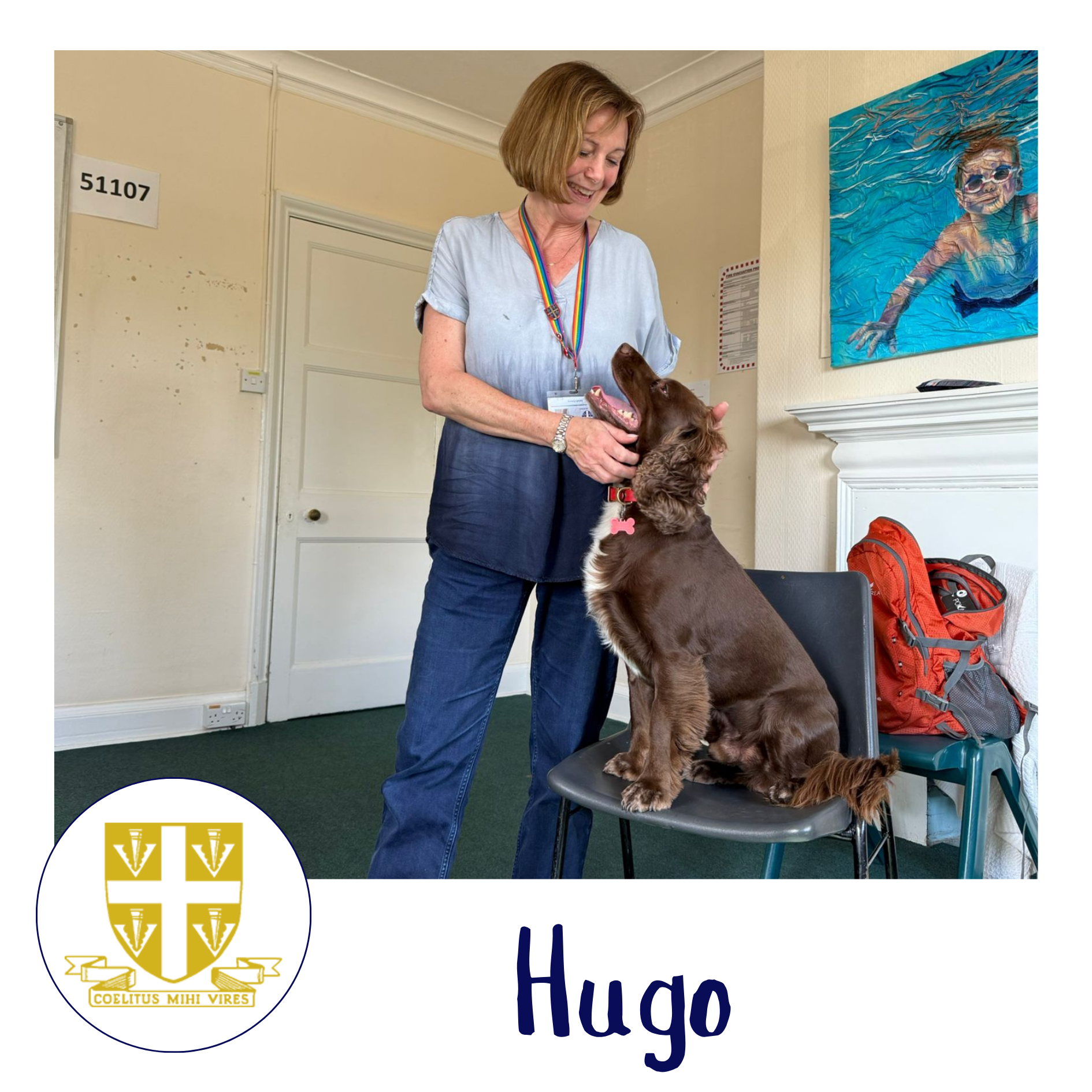 PAWS Therapy Dogs in Schools | UK's Leading School Therapy Dog Programme