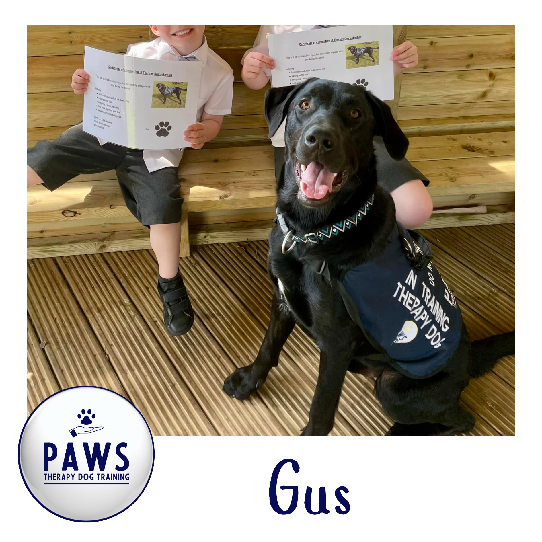 PAWS Therapy Dogs in Schools | UK's Leading School Therapy Dog Programme