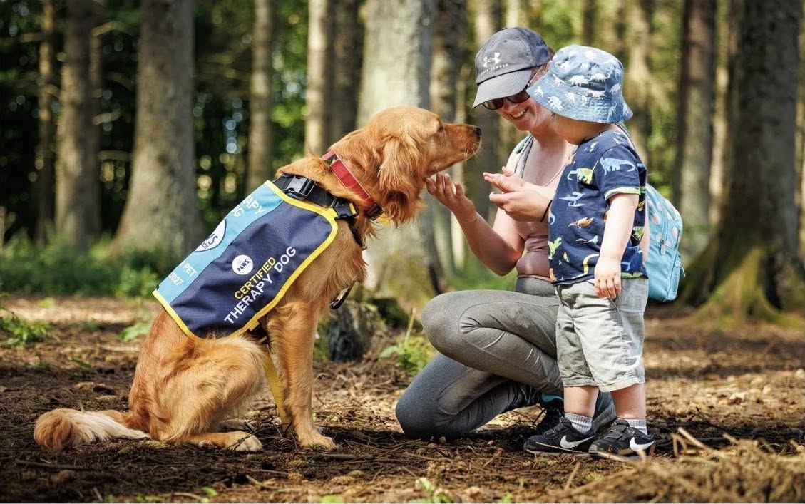 PAWS Therapy Dogs in Schools | UK's Leading School Therapy Dog Programme