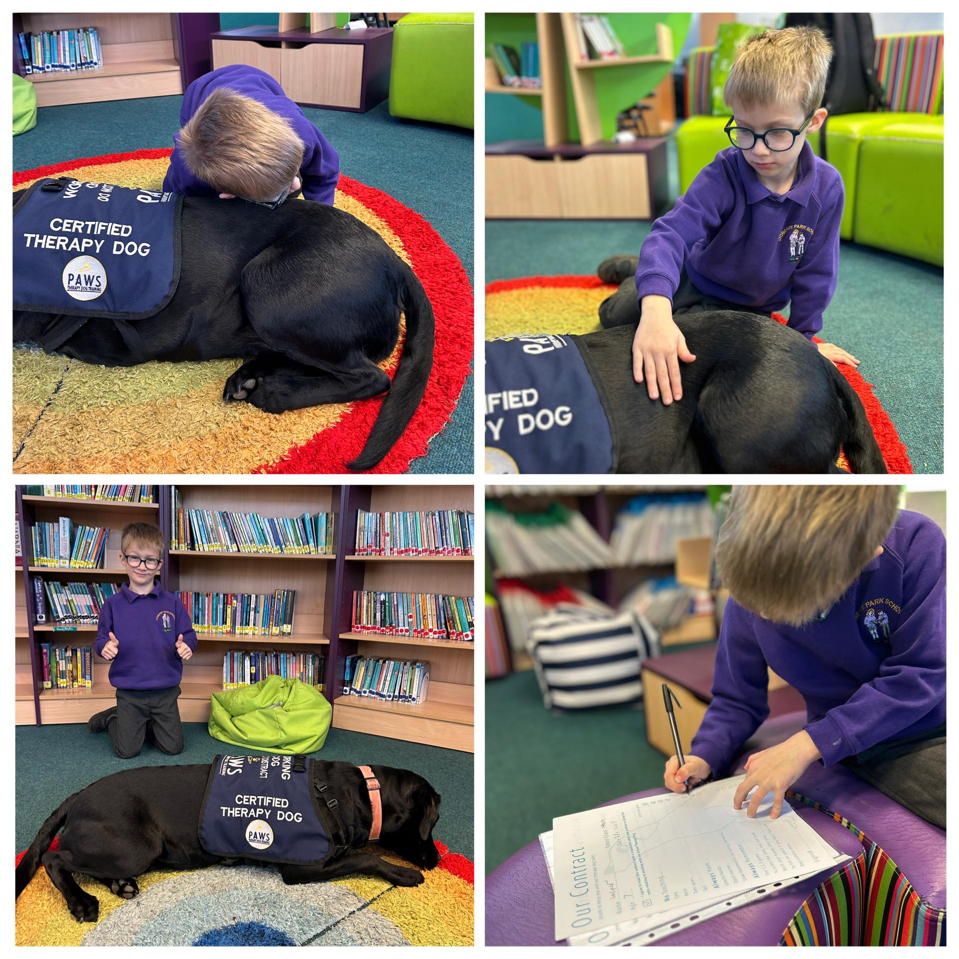 PAWS Therapy Dogs in Schools | UK's Leading School Therapy Dog Programme