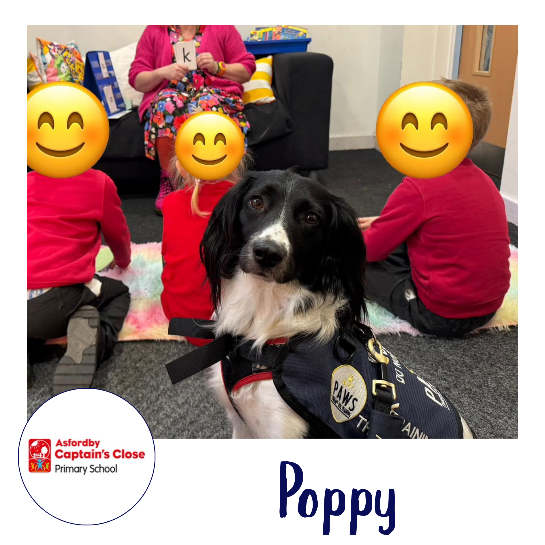 PAWS Therapy Dogs in Schools | UK's Leading School Therapy Dog Programme