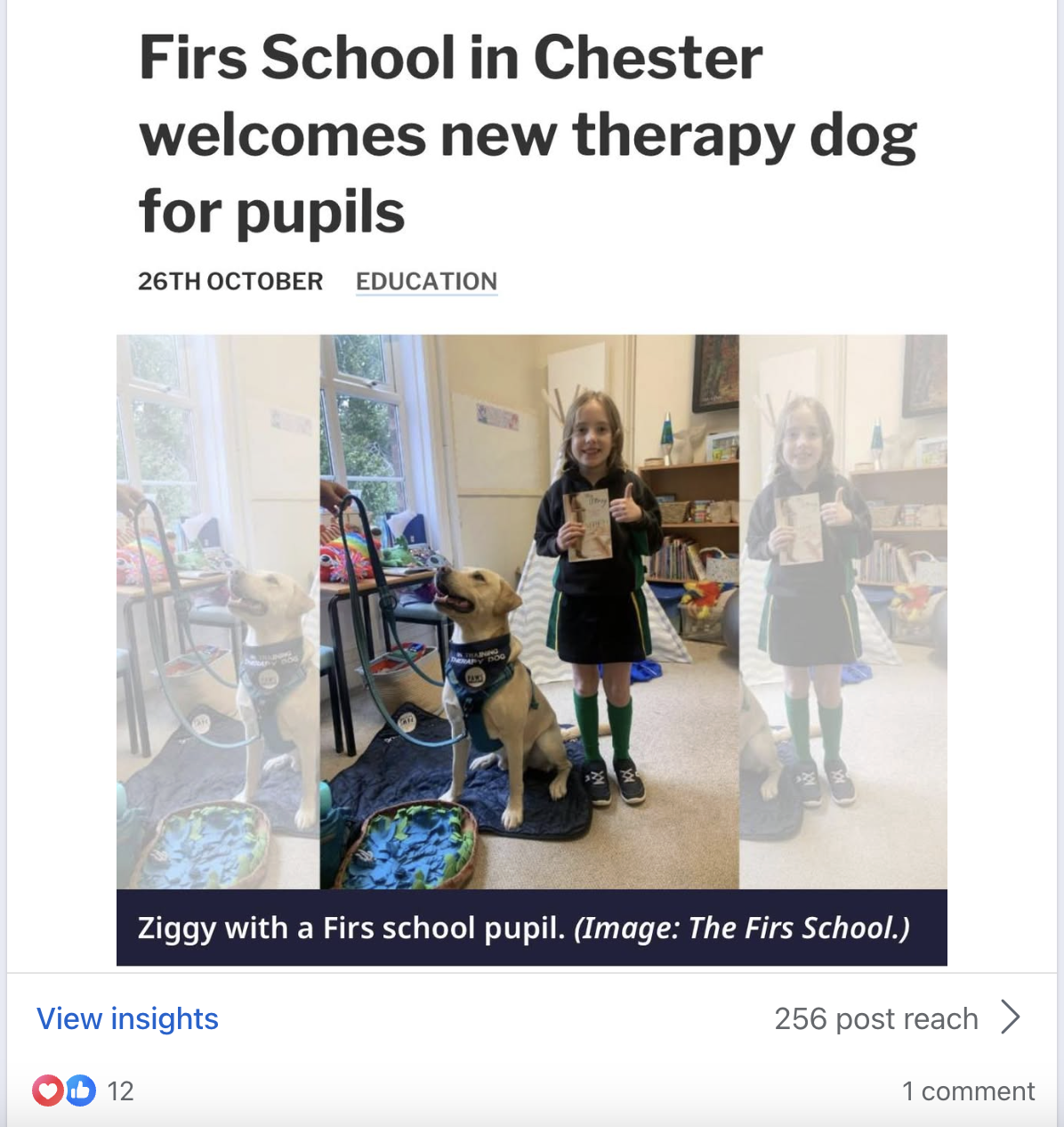 PAWS Therapy Dogs in Schools | UK's Leading School Therapy Dog Programme