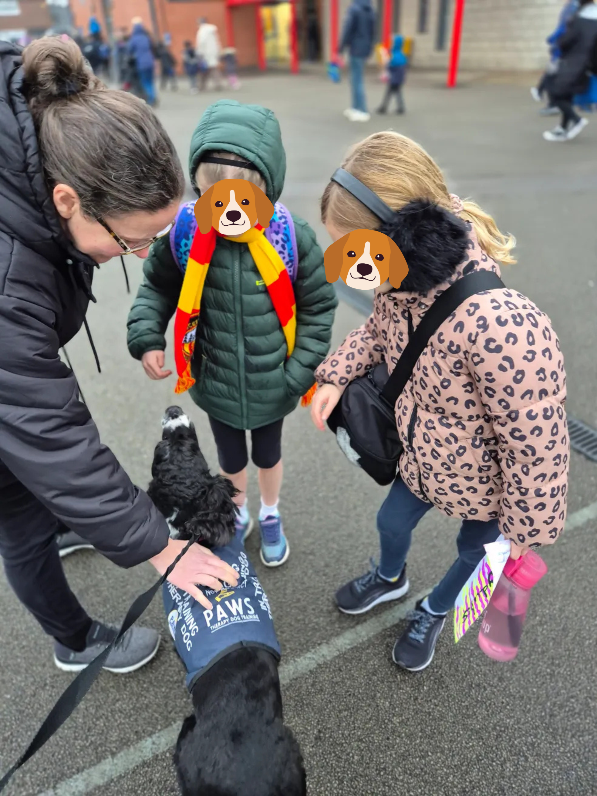 PAWS Therapy Dogs in Schools | UK's Leading School Therapy Dog Programme