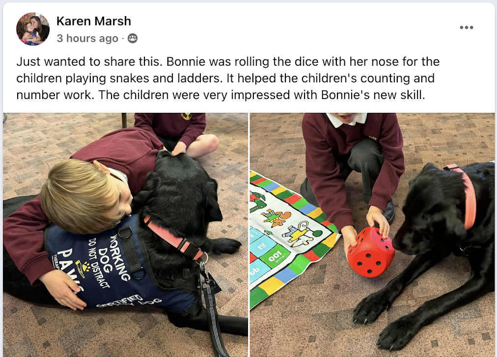 PAWS Therapy Dogs in Schools | UK's Leading School Therapy Dog Programme
